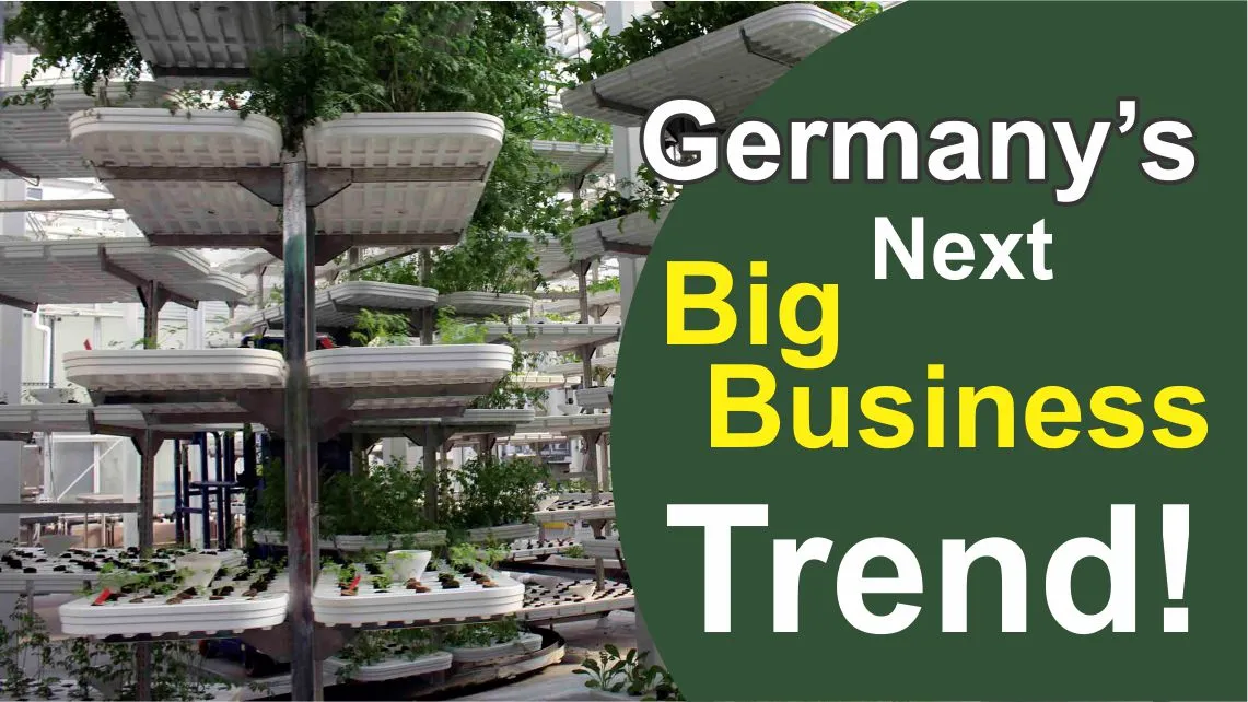 Indoor vertical farm with leafy greens in Germany